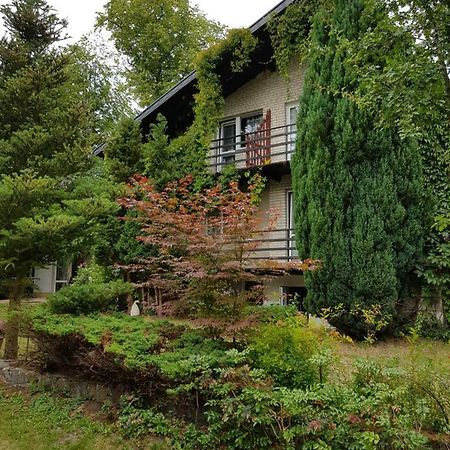 Pokoje I Apartamenty Przy Sosnowej 포다비 외부 사진