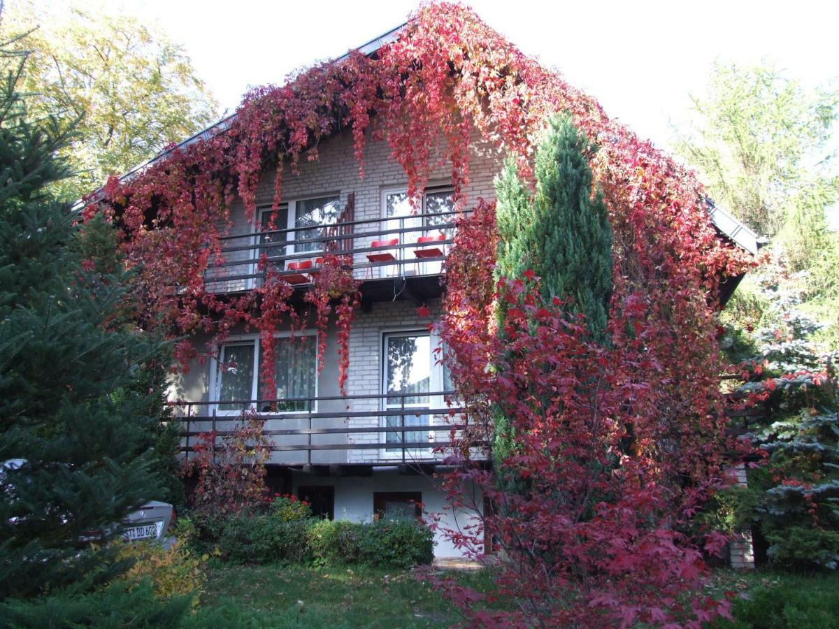 Pokoje I Apartamenty Przy Sosnowej 포다비 외부 사진