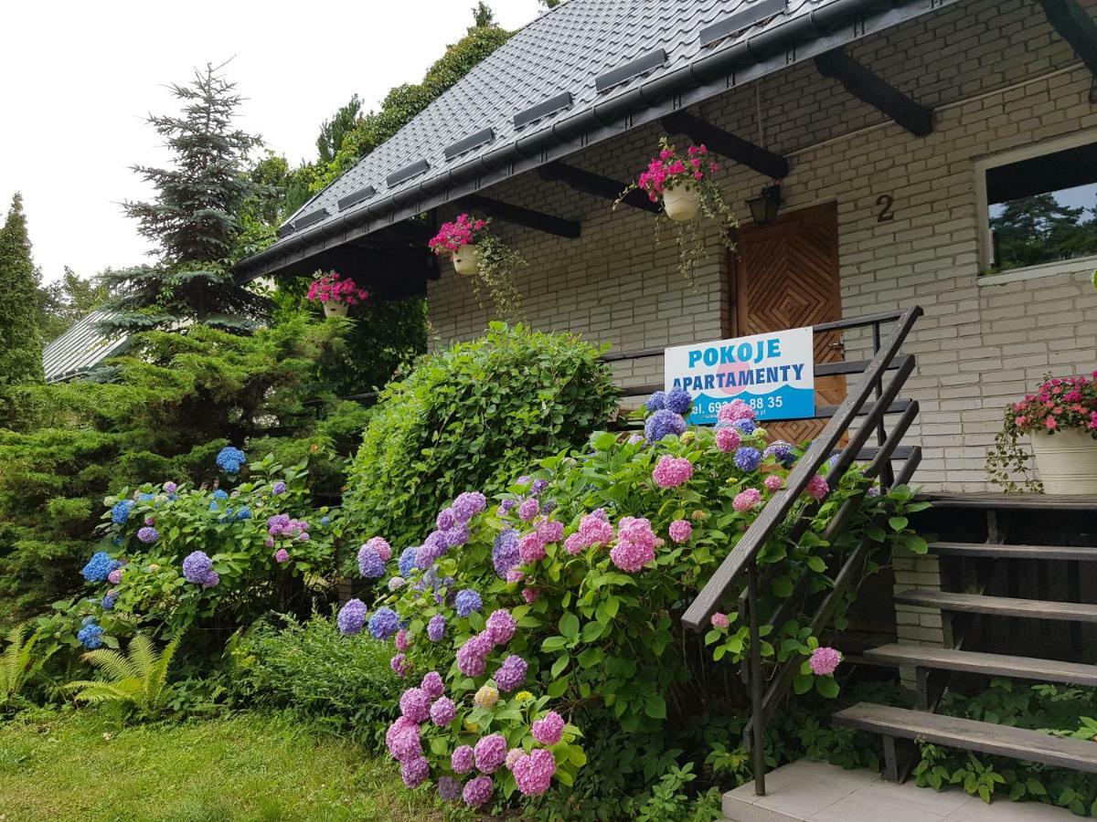 Pokoje I Apartamenty Przy Sosnowej 포다비 외부 사진